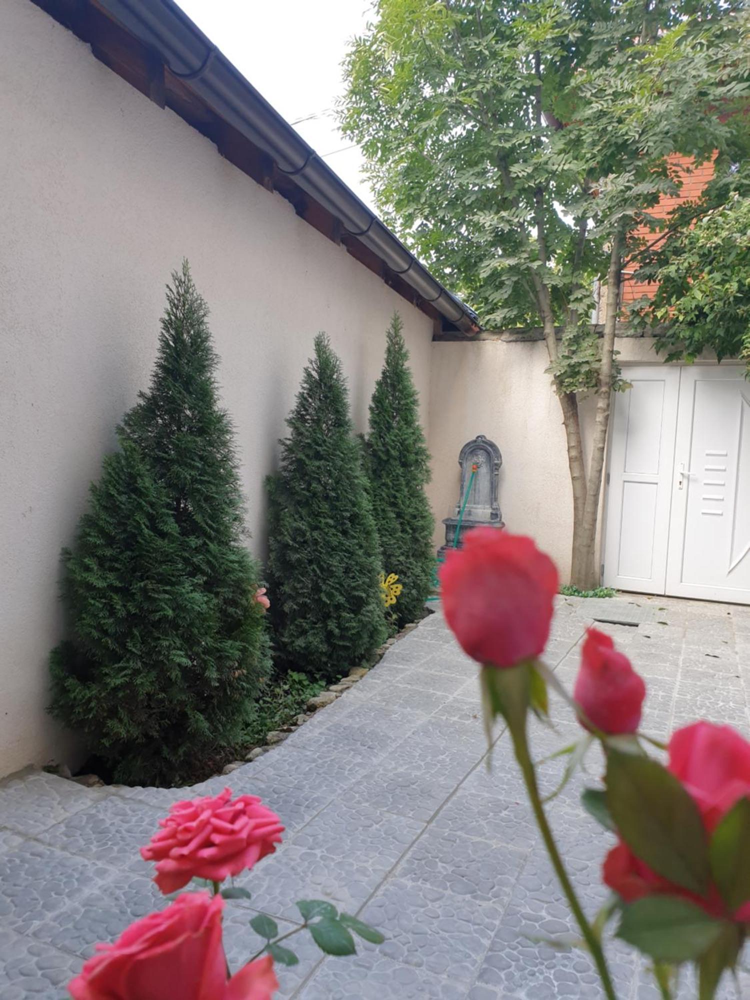 Apartments Old Town سراييفو المظهر الخارجي الصورة